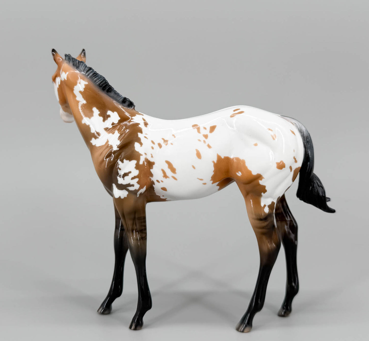 Weanling ~ After Party - One-Of-A-Kind DAH
