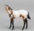 Weanling ~ After Party - One-Of-A-Kind DAH