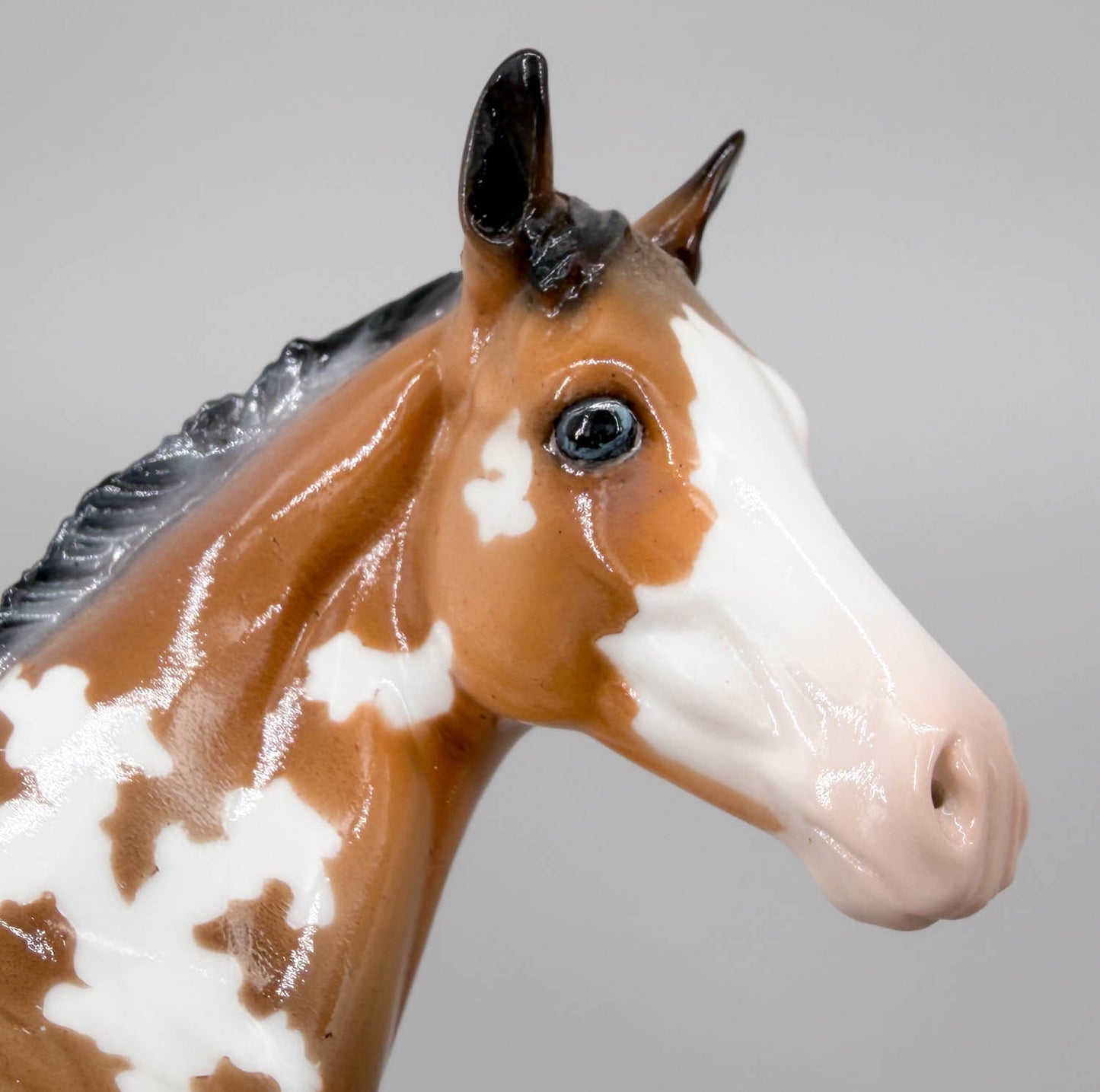 Weanling ~ After Party - One-Of-A-Kind DAH