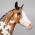 Weanling ~ After Party - One-Of-A-Kind DAH