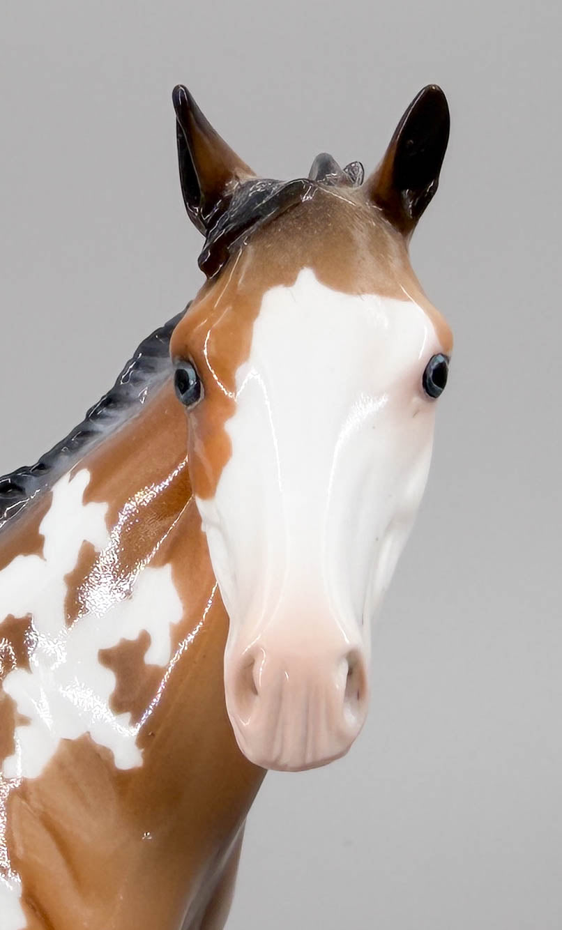 Weanling ~ After Party - One-Of-A-Kind DAH
