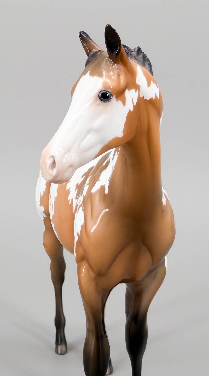 Weanling ~ After Party - One-Of-A-Kind DAH