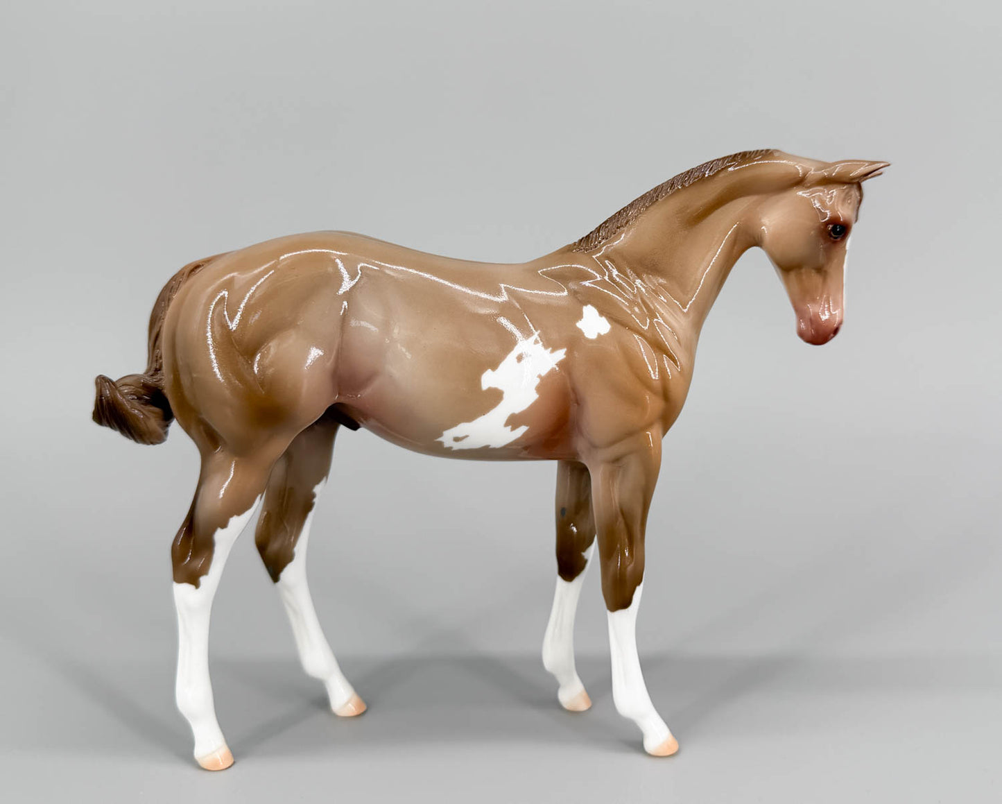 Weanling ~ Highland Paddy, Glossy - Only 2 Made!