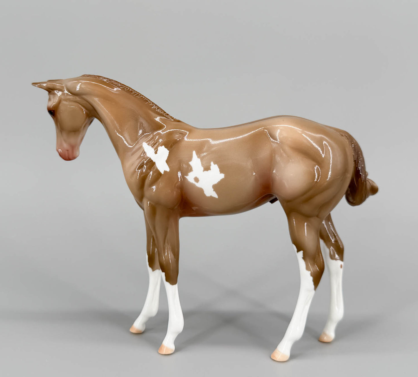 Weanling ~ Highland Paddy, Glossy - Only 2 Made!