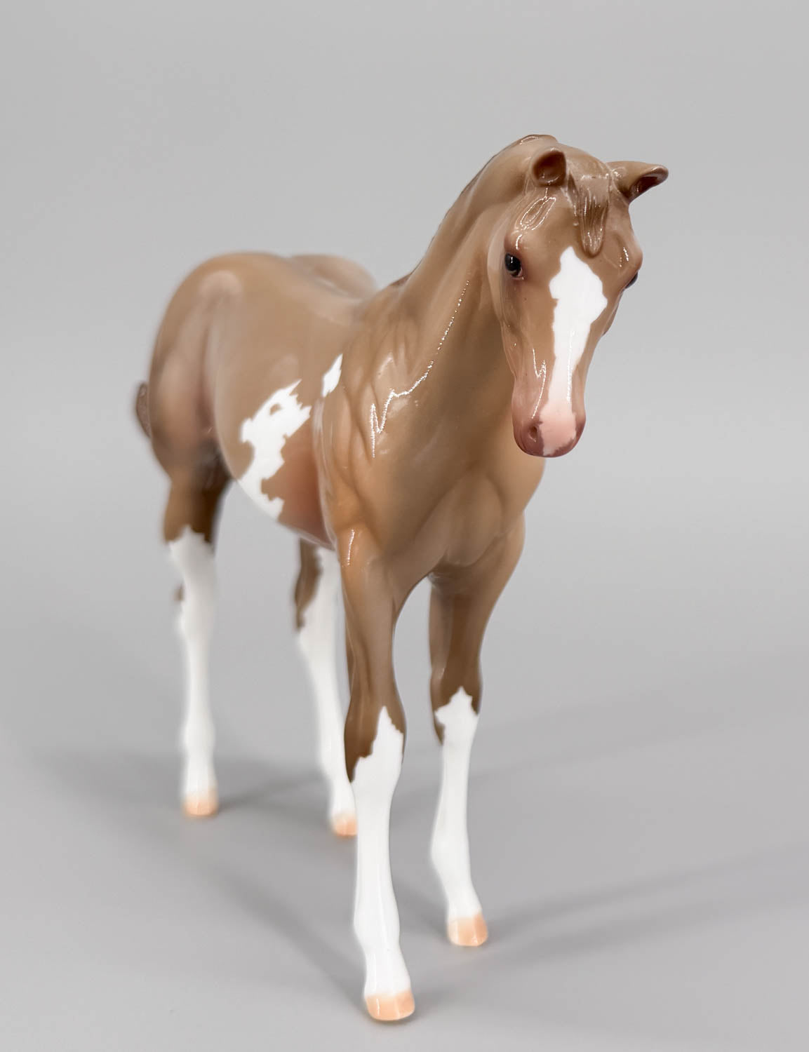 Weanling ~ Highland Paddy, Glossy - Only 2 Made!