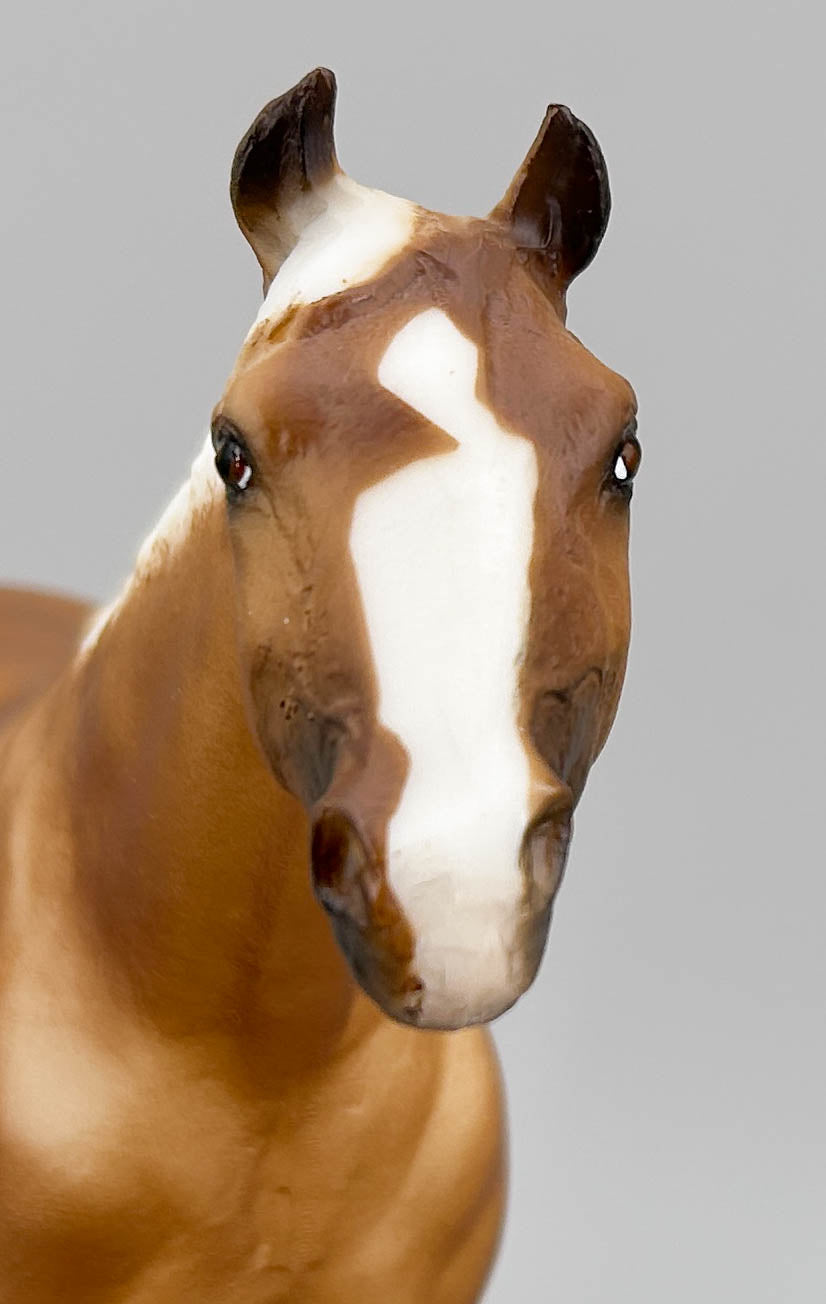 Stud Spider ~ Bold, Breyerfest 1997 Celebration Model