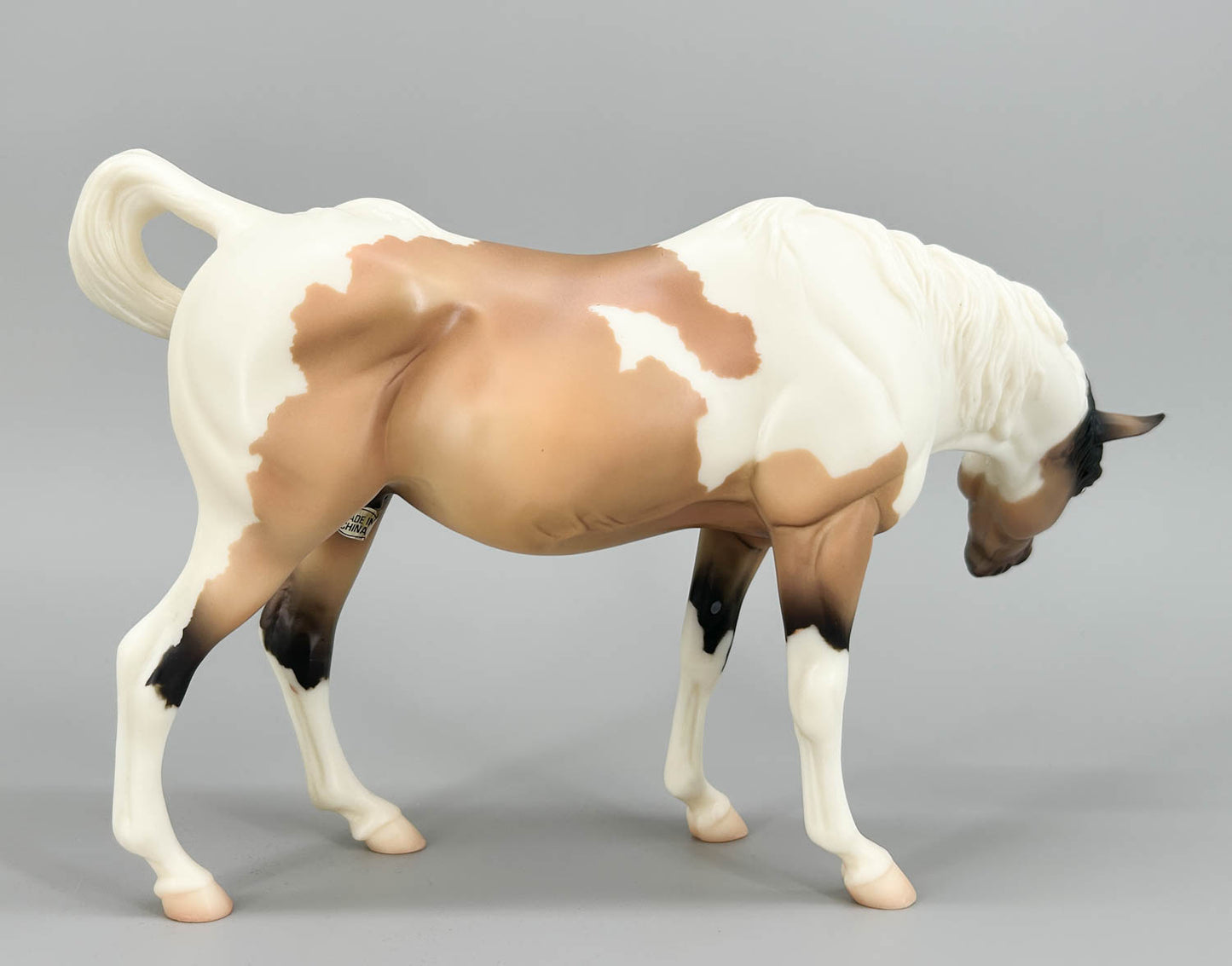Susecion & Le Fire ~ Pinto Half-Arabian Family - JC Penney SR