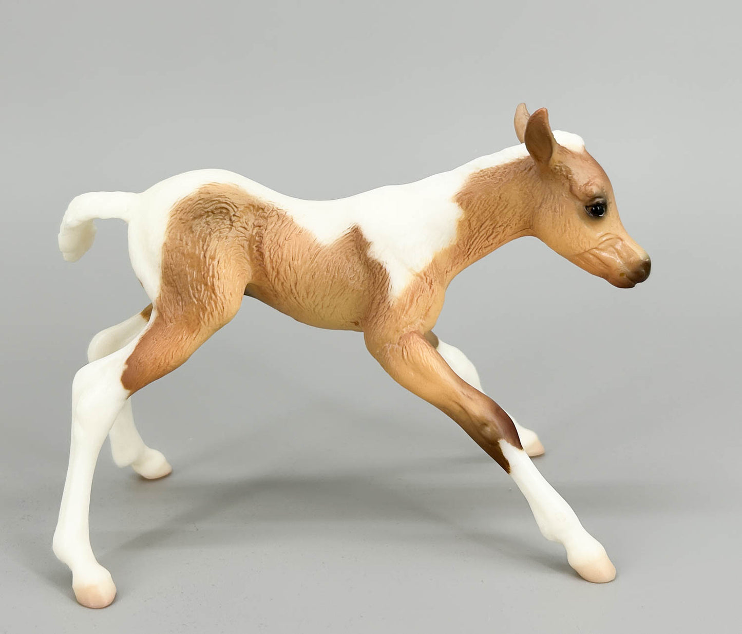 Susecion & Le Fire ~ Pinto Half-Arabian Family - JC Penney SR
