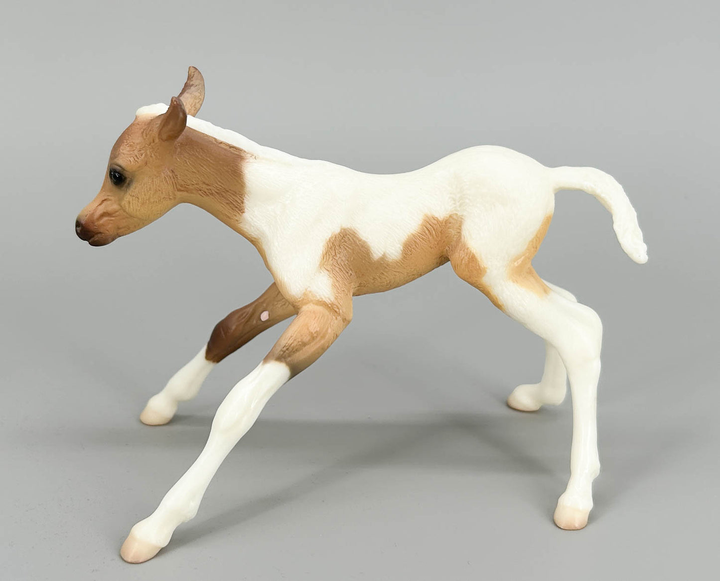 Susecion & Le Fire ~ Pinto Half-Arabian Family - JC Penney SR