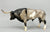 Texas Longhorn Bull ~ Mesquite - Breyerfest 2001 SR