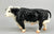 Walking Hereford ~ Buford - Breyerfest 2000 SR