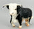Walking Hereford ~ Buford - Breyerfest 2000 SR