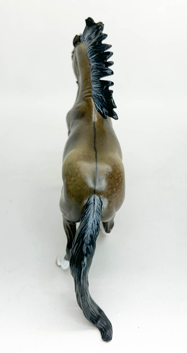 Criollo Stallion ~ Chivalrous, Custom by Lele Tiedberg