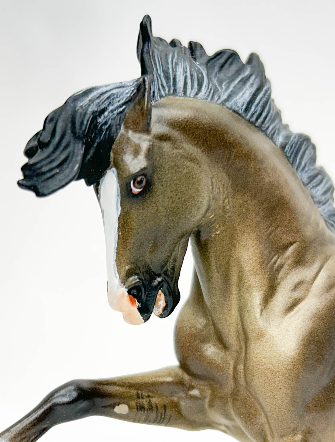 Criollo Stallion ~ Chivalrous, Custom by Lele Tiedberg