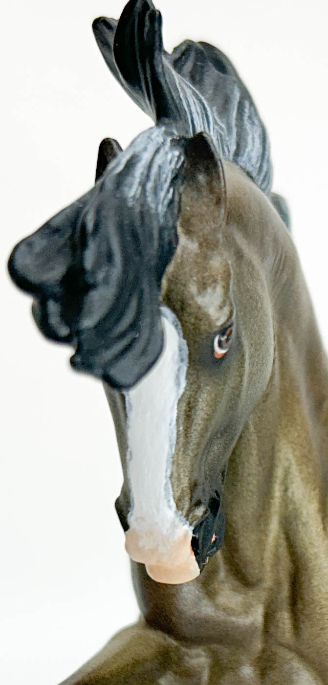 Criollo Stallion ~ Chivalrous, Custom by Lele Tiedberg