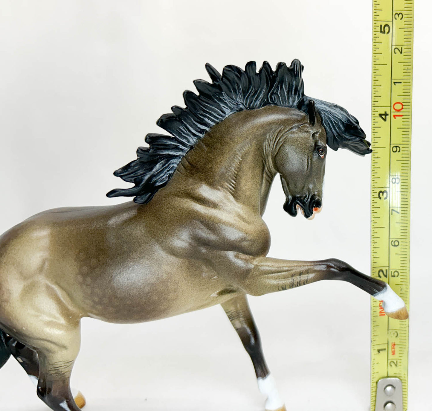 Criollo Stallion ~ Chivalrous, Custom by Lele Tiedberg