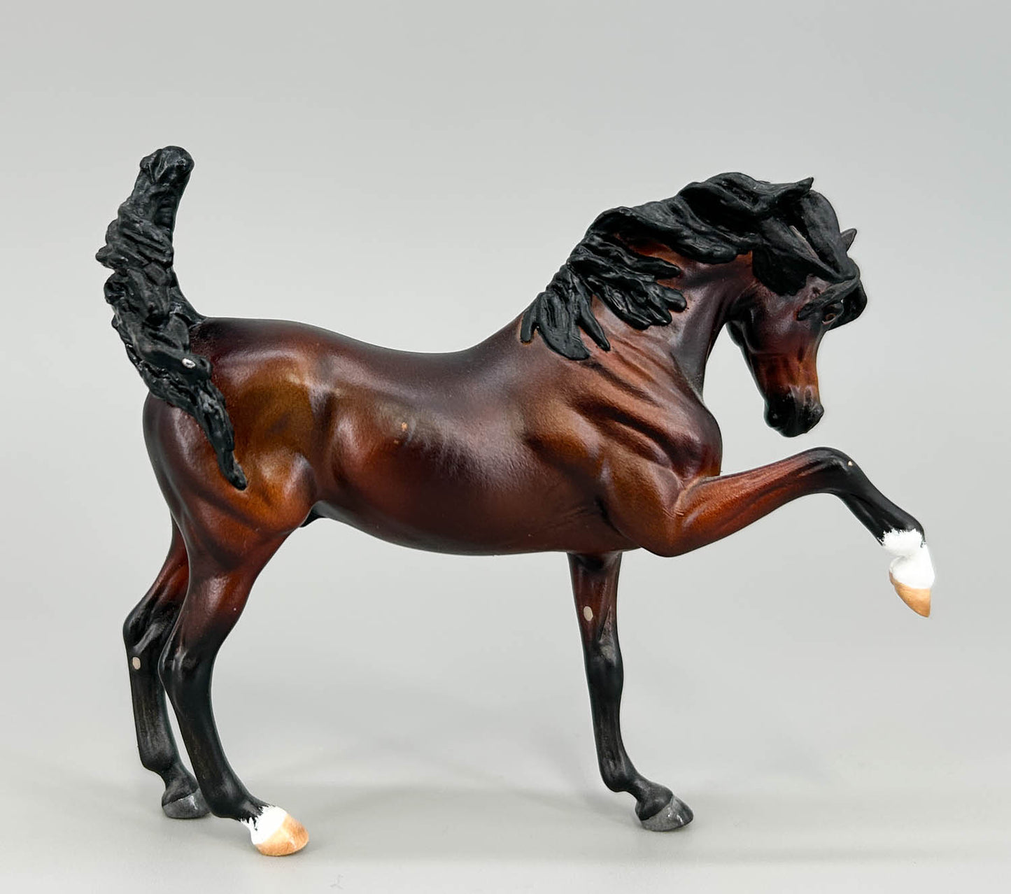 WIA Sharif Custom, Bay by Gabrielle Rediberg