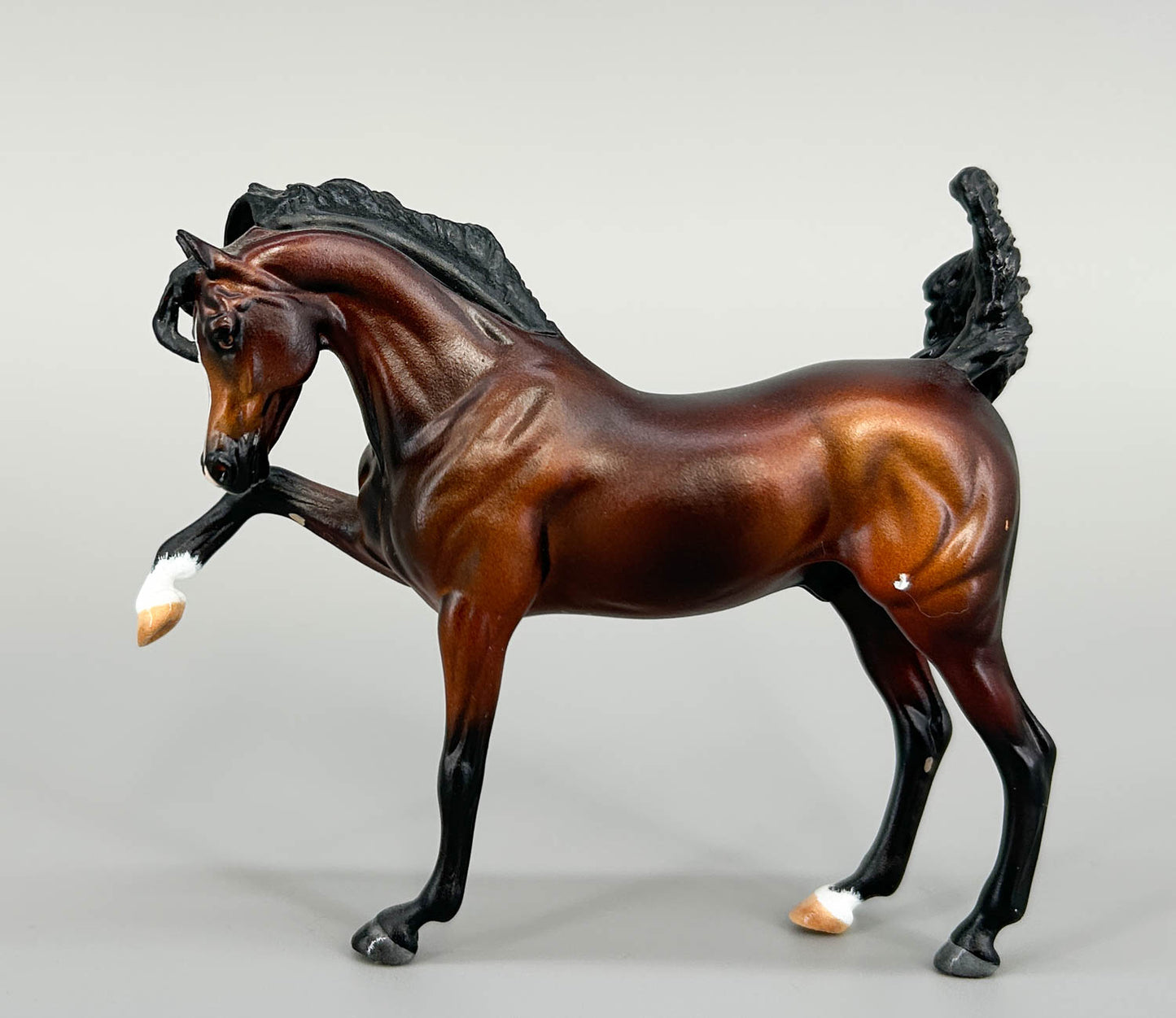 WIA Sharif Custom, Bay by Gabrielle Rediberg