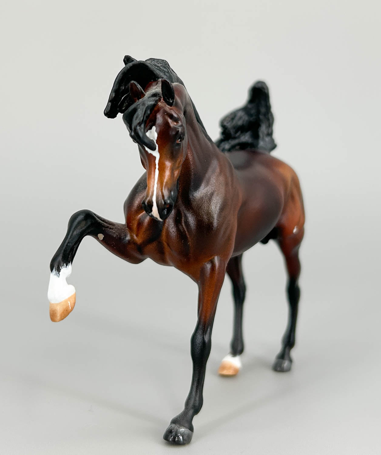 WIA Sharif Custom, Bay by Gabrielle Rediberg