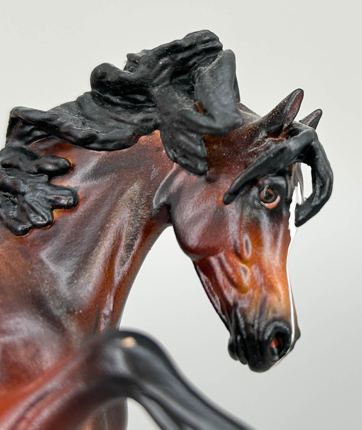 WIA Sharif Custom, Bay by Gabrielle Rediberg