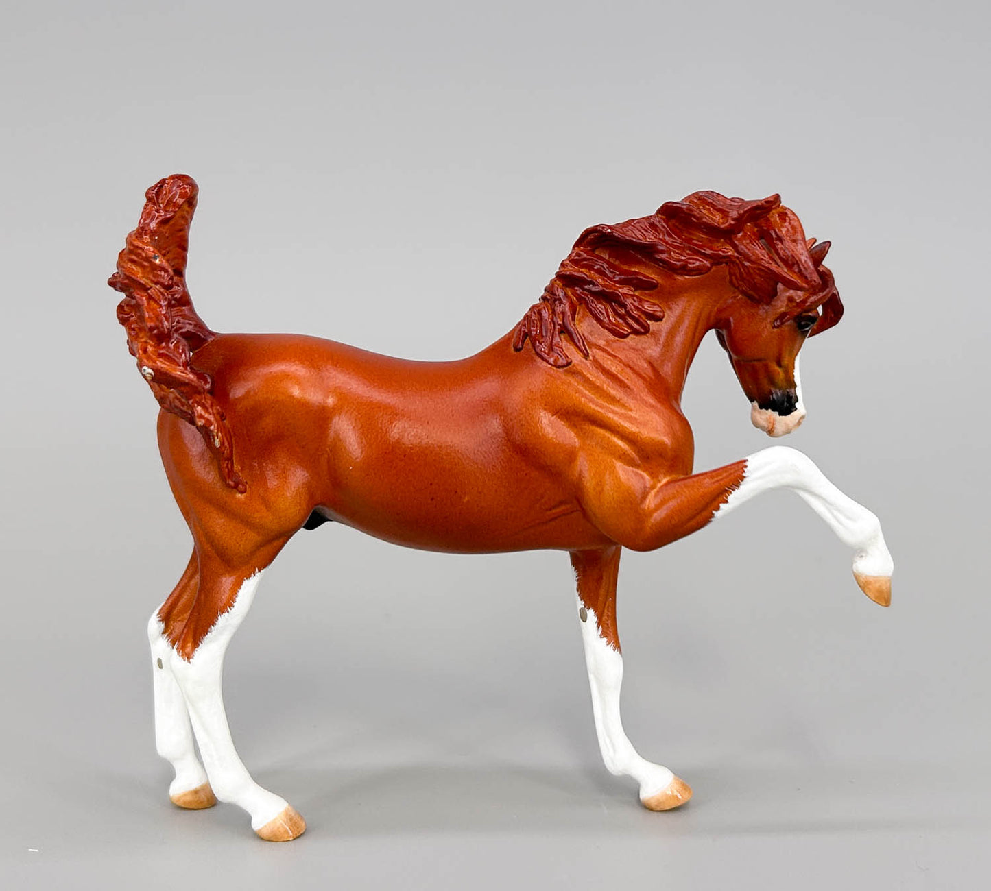 WIA Sharif Custom, Chestnut by Gabrielle Reidberg