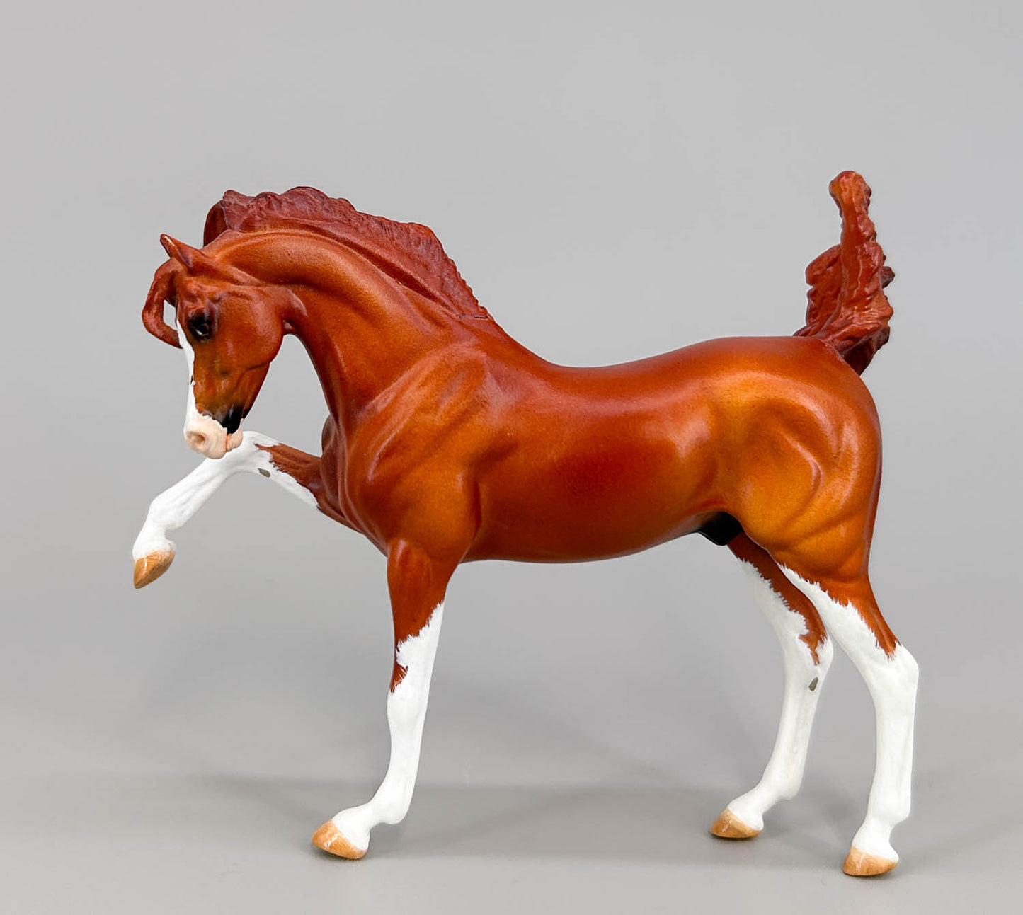 WIA Sharif Custom, Chestnut by Gabrielle Reidberg