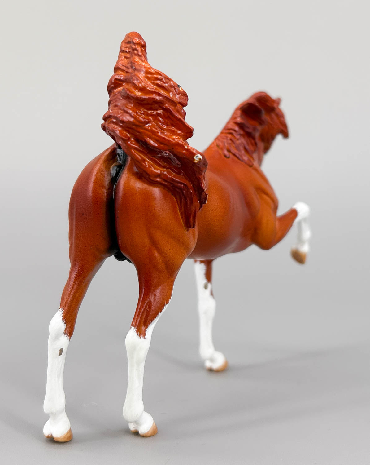 WIA Sharif Custom, Chestnut by Gabrielle Reidberg