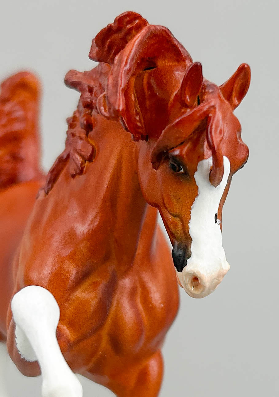 WIA Sharif Custom, Chestnut by Gabrielle Reidberg