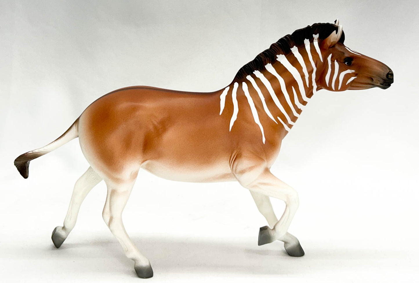 Zebra ~ I Will Survive - Breyerfest 2024 Ltd Ed w/ Bonus Pony Pouch