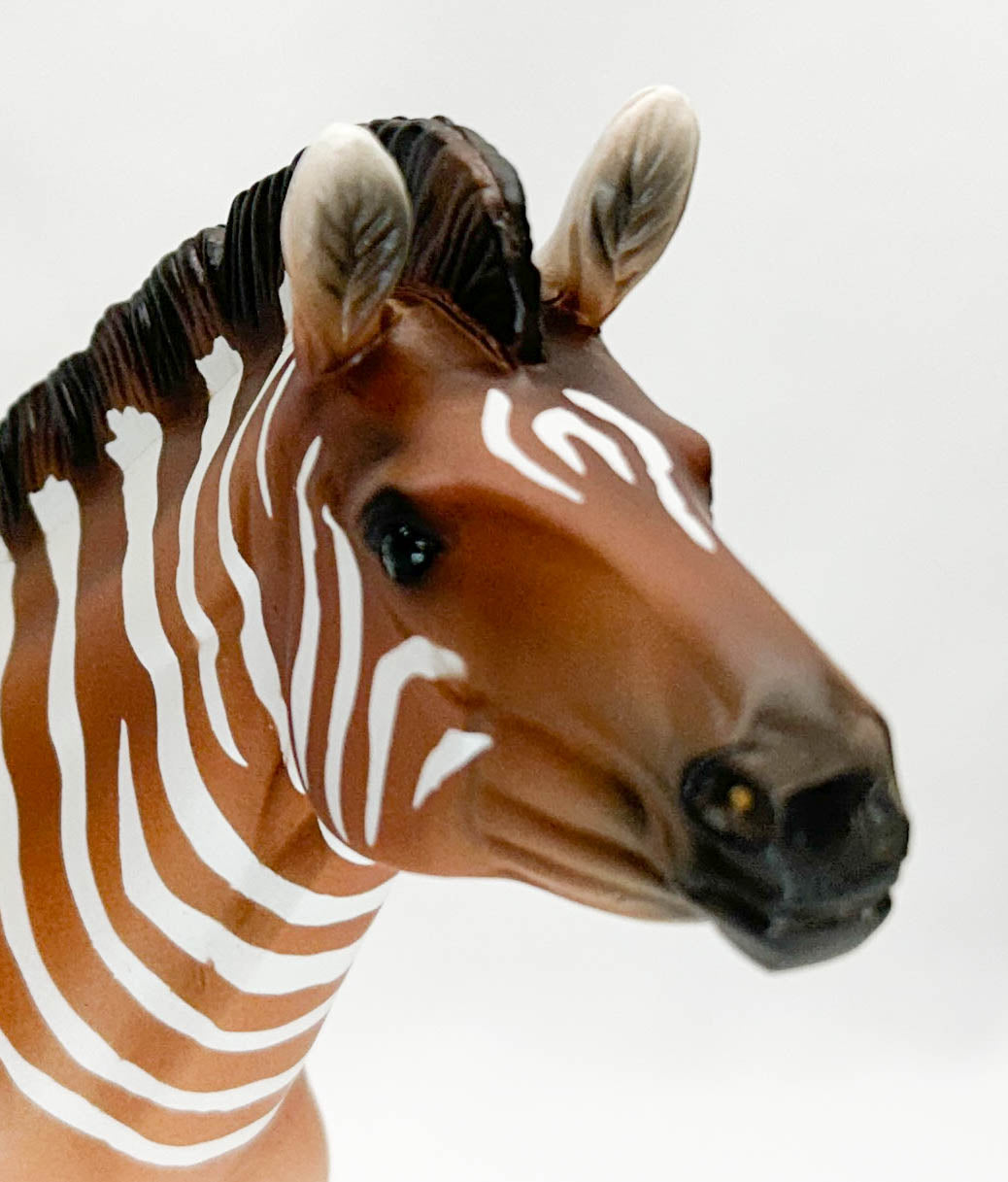 Zebra ~ I Will Survive - Breyerfest 2024 Ltd Ed w/ Bonus Pony Pouch