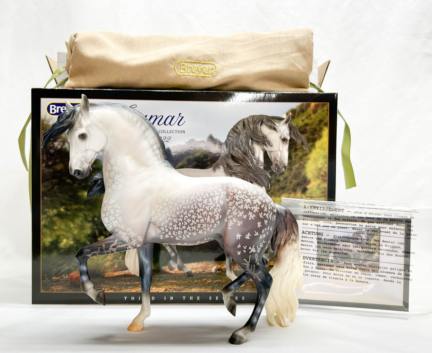 Ayyis Amazigh Stallion ~ Anamar - 2022 Premier Club