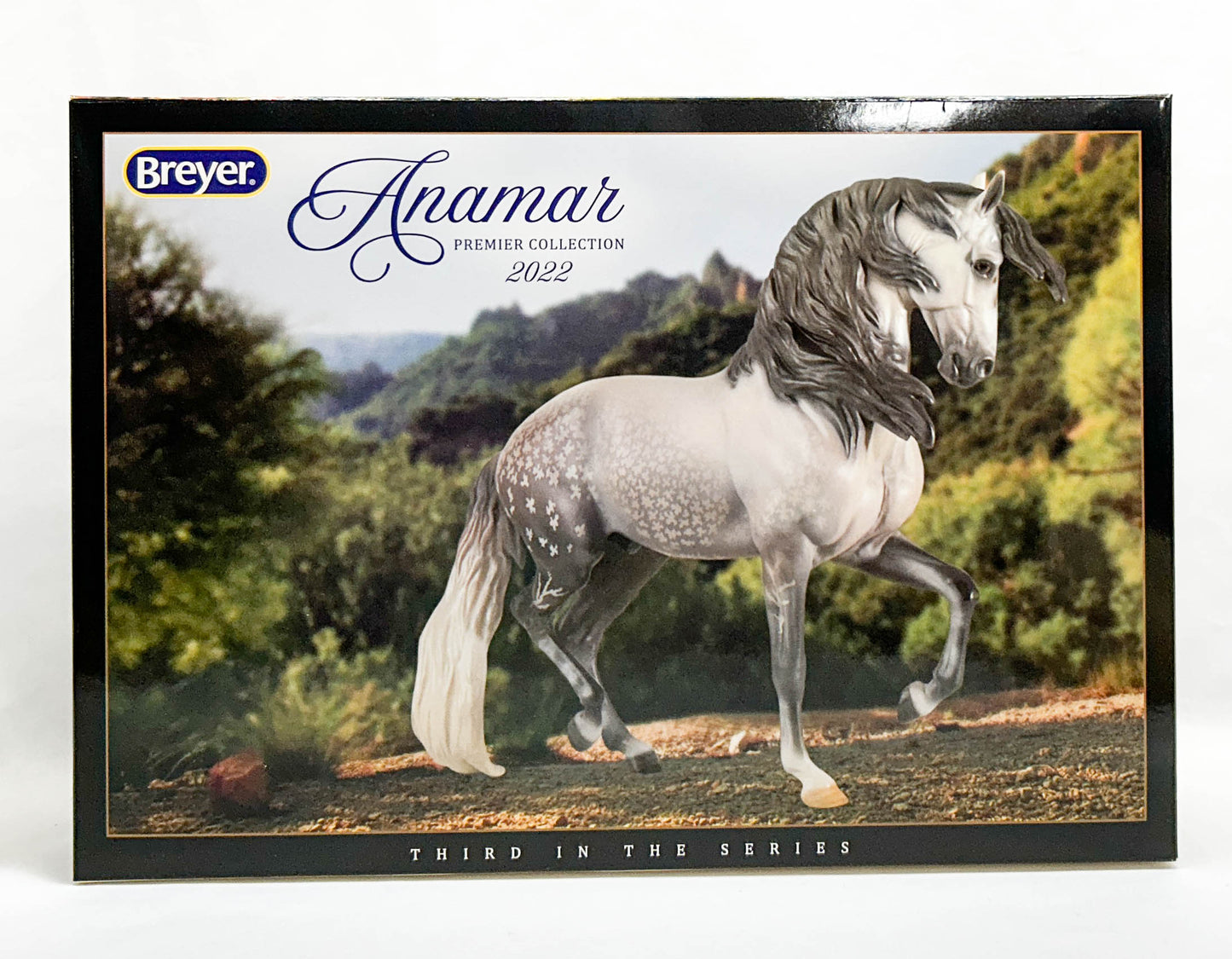 Ayyis Amazigh Stallion ~ Anamar - 2022 Premier Club