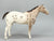 Appaloosa Performance Horse, Roan Appaloosa - CHALKY Light Variation