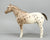 Appaloosa Performance Horse, Roan Appaloosa - CHALKY Light Variation