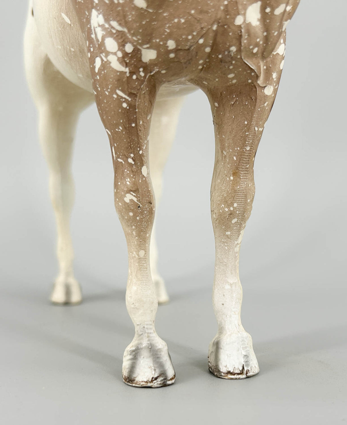Appaloosa Performance Horse, Roan Appaloosa - CHALKY Light Variation