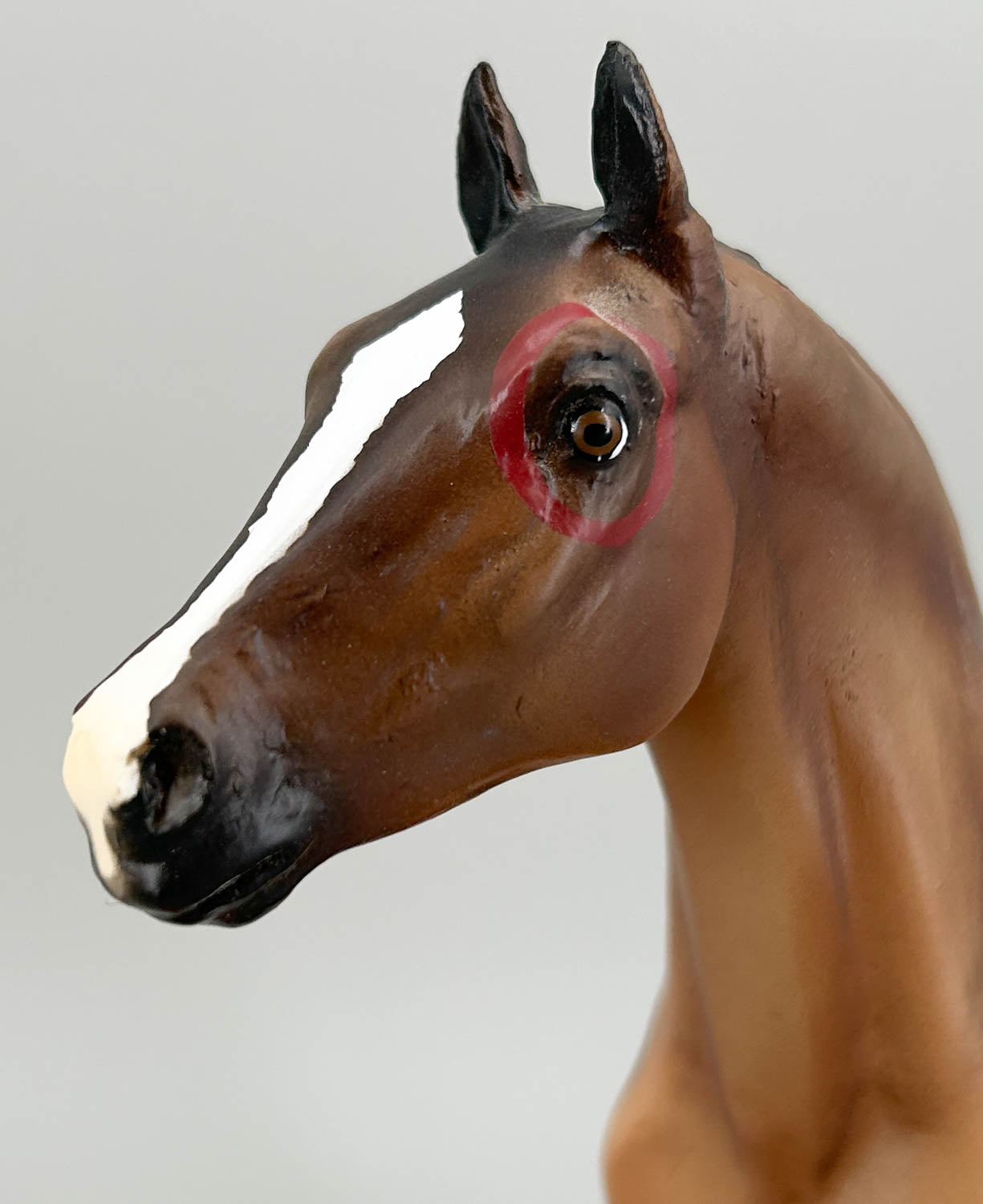 Appaloosa Performance Horse ~ Indian Pony - Chalky Version from Eleda's herd