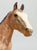 Appaloosa Performance Horse, Roan Appaloosa - CHALKY from Eleda's herd