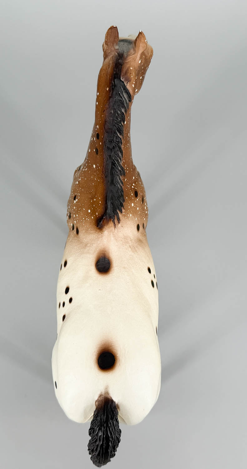 Appaloosa Performance Horse, Roan Appaloosa - CHALKY from Eleda's herd