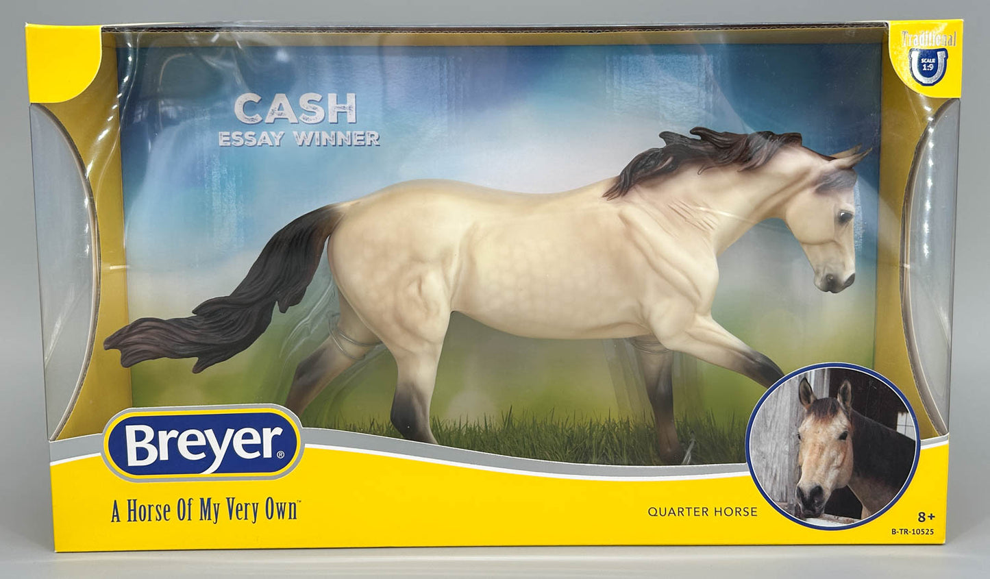 Australian Stock Horse ~ Cash - 2025 Fall Limited Edition