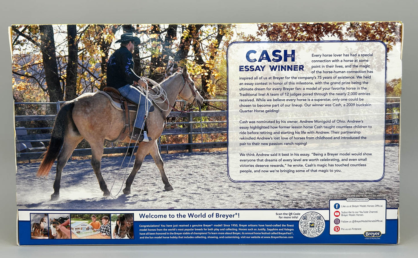 Australian Stock Horse ~ Cash - 2025 Fall Limited Edition