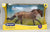 Australian Stock Horse ~ Merle - Tractor Supply SR