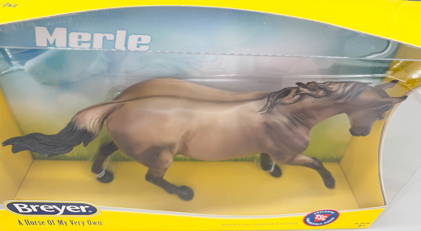 Australian Stock Horse ~ Merle - Tractor Supply SR