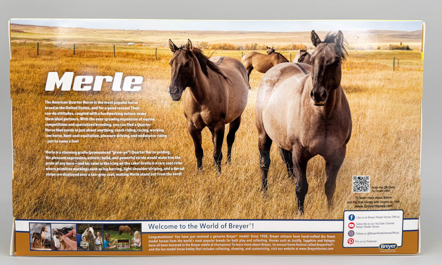 Australian Stock Horse ~ Merle - Tractor Supply SR