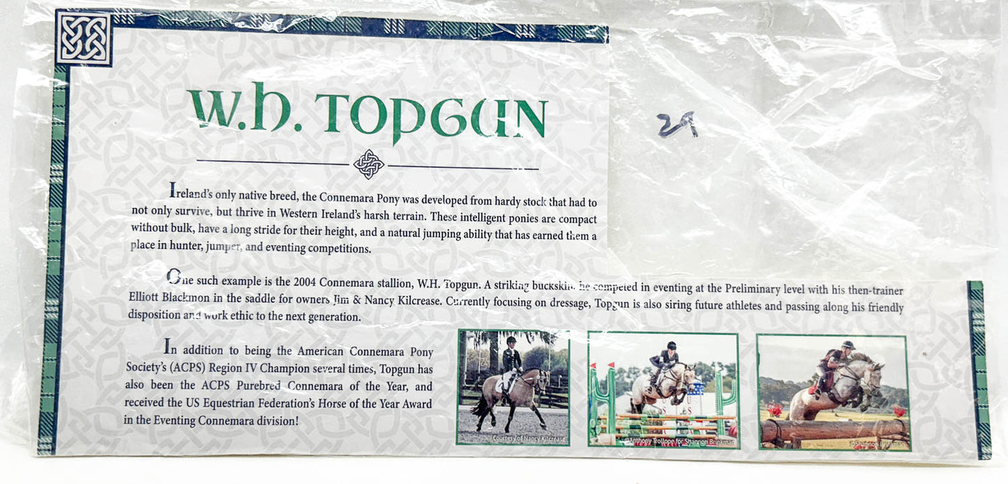 Box Back / Bio Card: W.H. Topgun