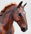 Cleveland Bay ~ Irish Draught - Best of British Series from Eleda's herd