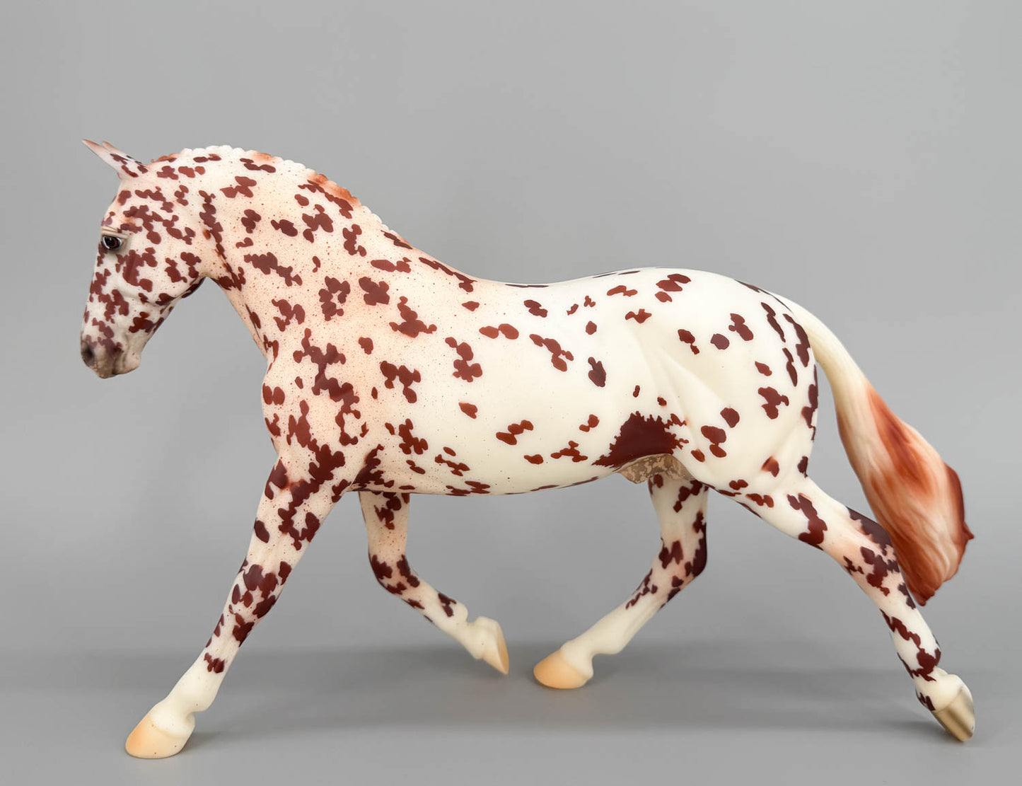 Cleveland Bay ~ Rotating Draft Surprise, Matte Leopard Appaloosa