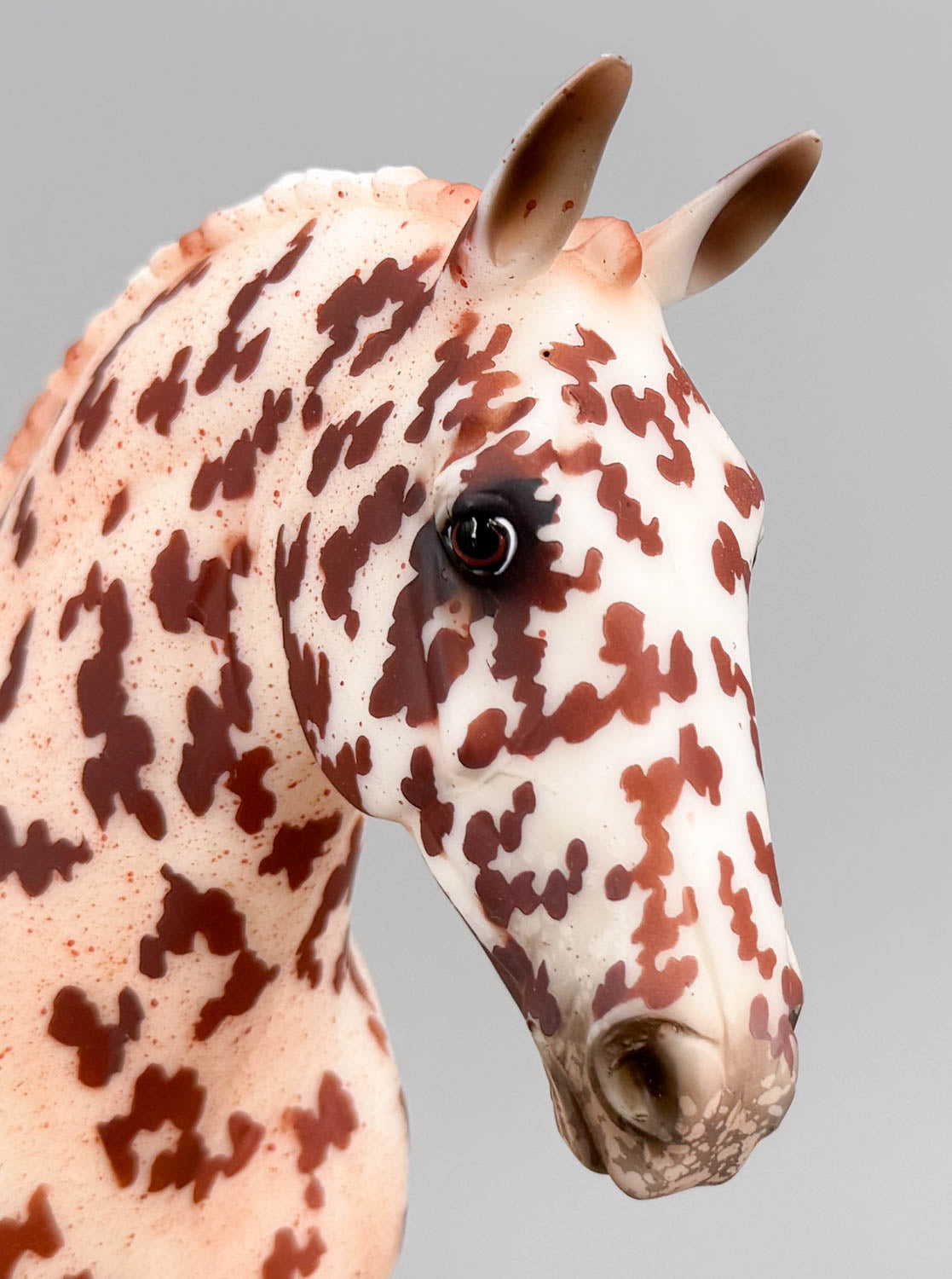 Cleveland Bay ~ Rotating Draft Surprise, Matte Leopard Appaloosa
