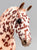 Cleveland Bay ~ Rotating Draft Surprise, Matte Leopard Appaloosa
