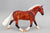 Cleveland Bay ~ Rotating Draft Surprise, GLOSSY Silver Bay from Eleda's herd