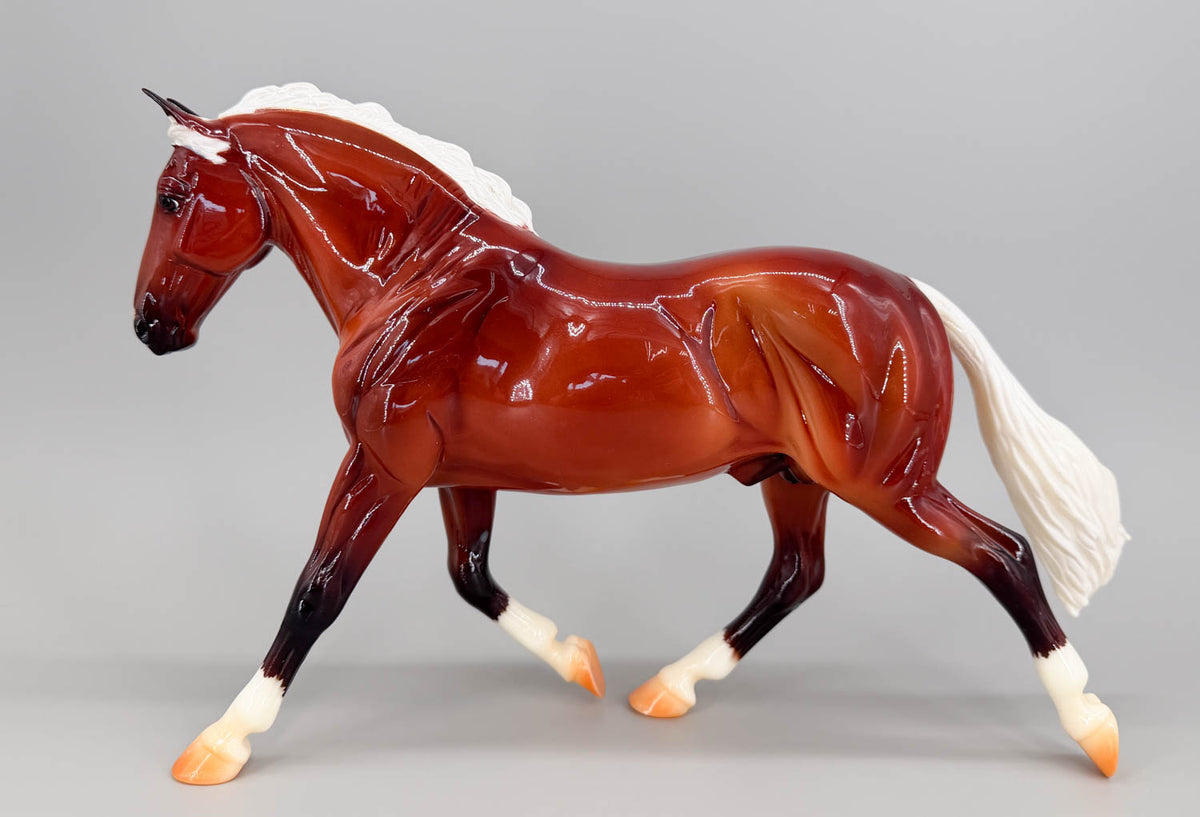 Cleveland Bay ~ Rotating Draft Surprise, GLOSSY Silver Bay from Eleda's herd